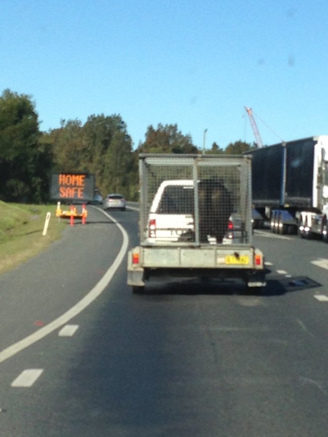 IMG_1112 (FILEminimizer)