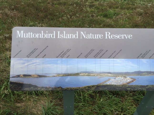 IMG_1247 (FILEminimizer)