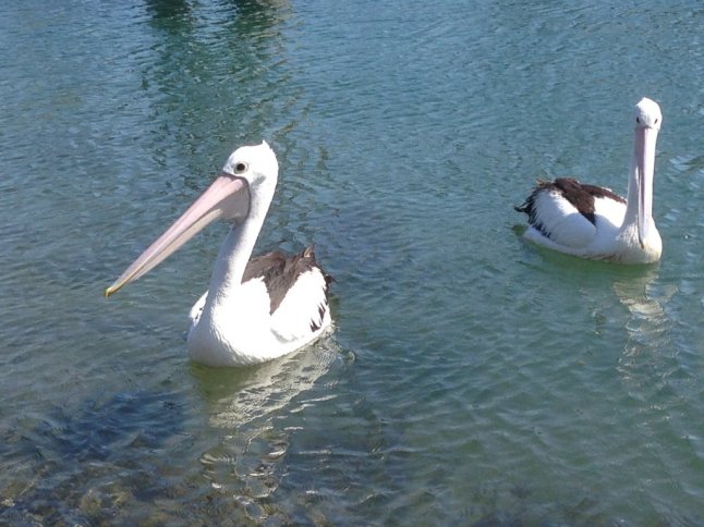 IMG_1588 (FILEminimizer)