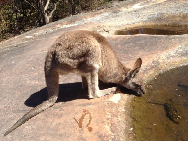 IMG_1622 (FILEminimizer)