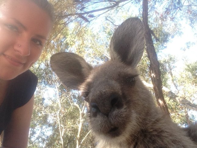 IMG_1634 (FILEminimizer)