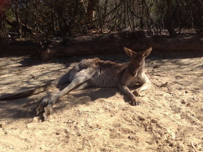 IMG_1641 (FILEminimizer)