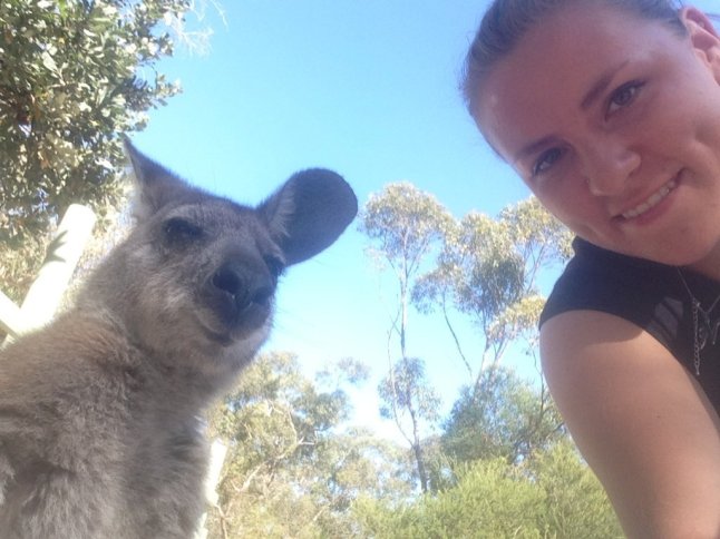 IMG_1647 (FILEminimizer)