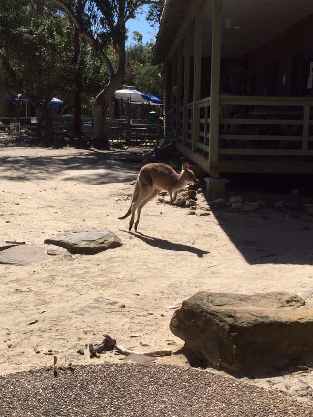 IMG_1715 (FILEminimizer)