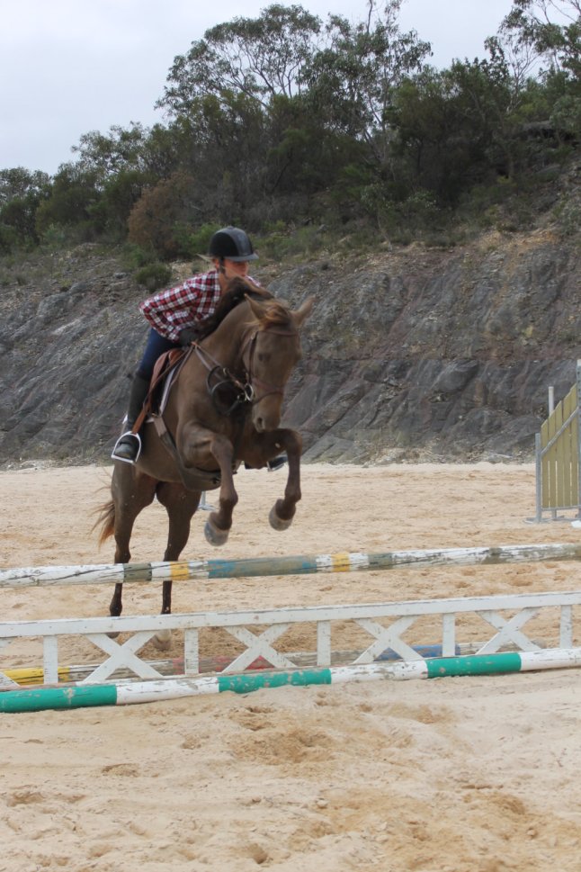 IMG_0002 (FILEminimizer)