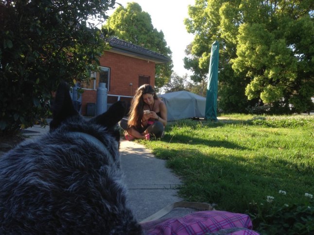 IMG_1917 (FILEminimizer)