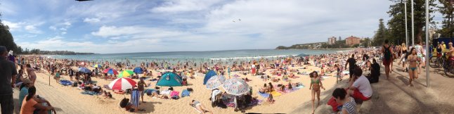 IMG_1945 (FILEminimizer)