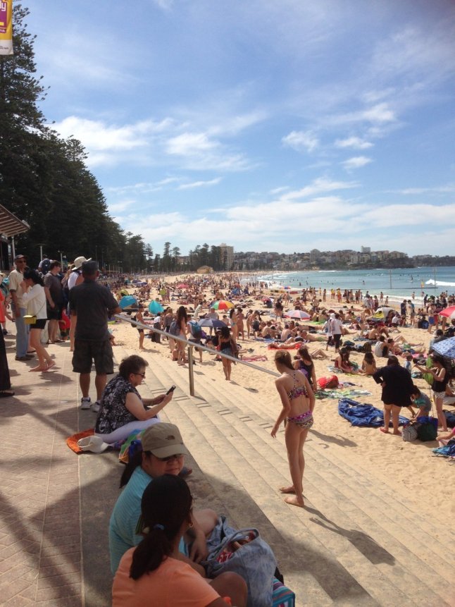 IMG_1946 (FILEminimizer)