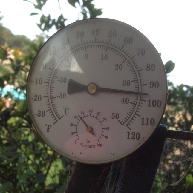 IMG_2010 (FILEminimizer)