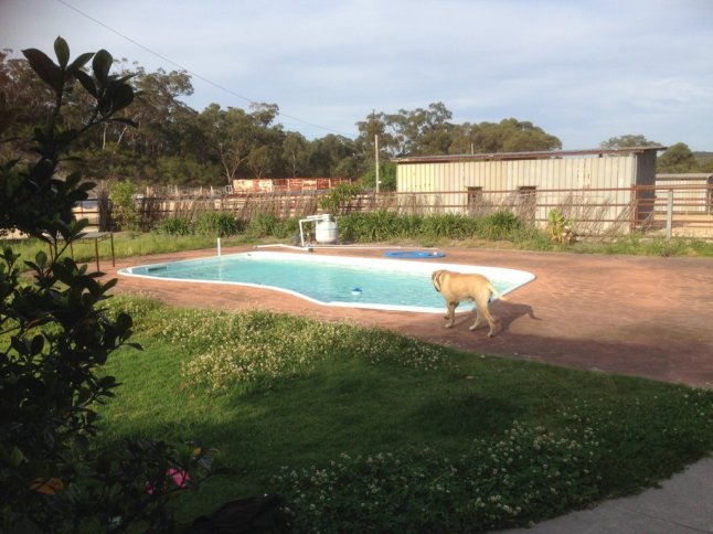 IMG_2013 (FILEminimizer)