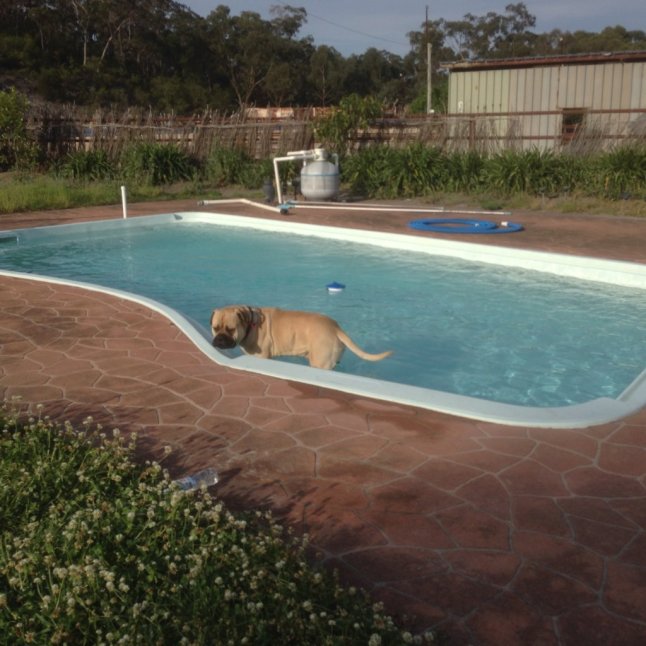 IMG_2014 (FILEminimizer)