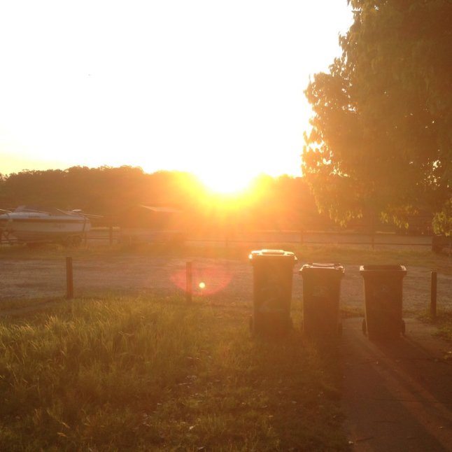 IMG_2018 (FILEminimizer)