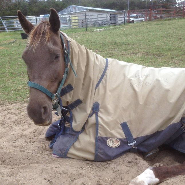 IMG_2087 (FILEminimizer)