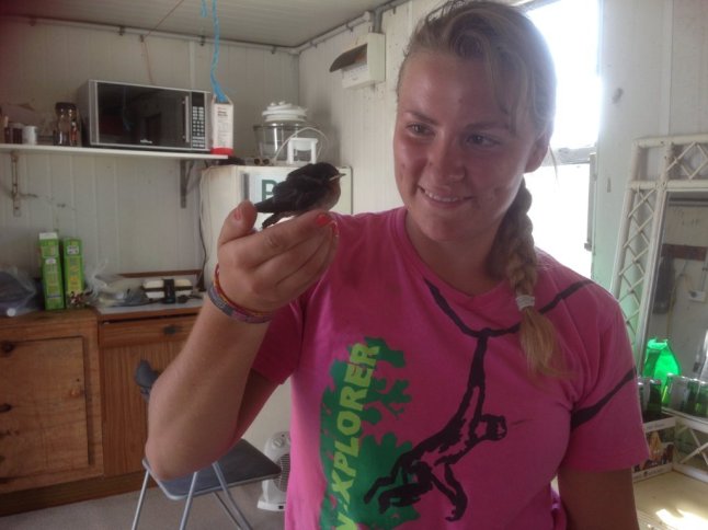 IMG_2121 (FILEminimizer)