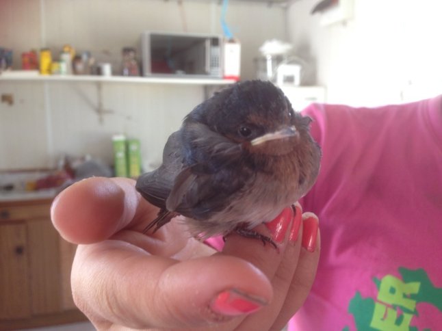 IMG_2123 (FILEminimizer)