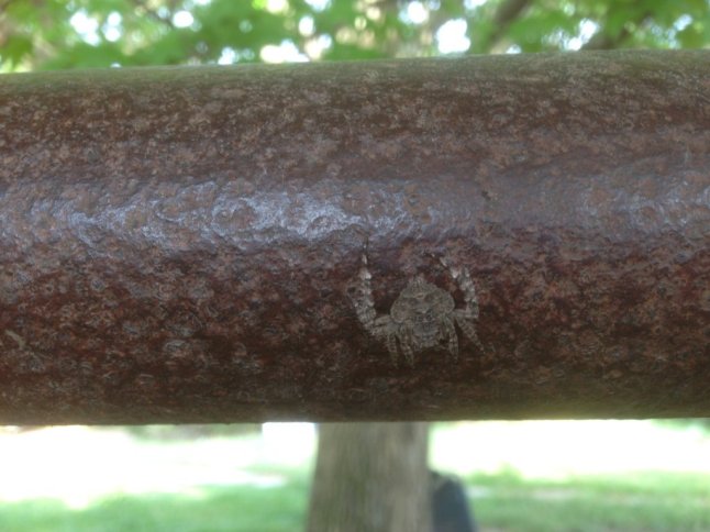 IMG_2165 (FILEminimizer)