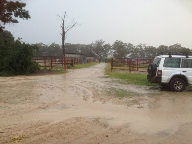 IMG_2170 (FILEminimizer)