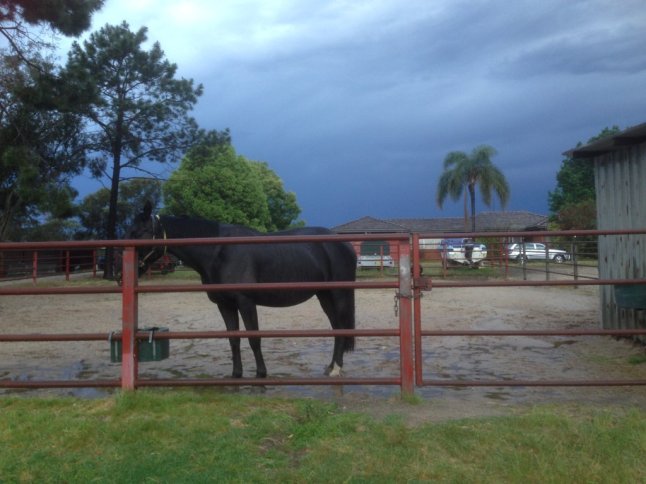 IMG_2171 (FILEminimizer)