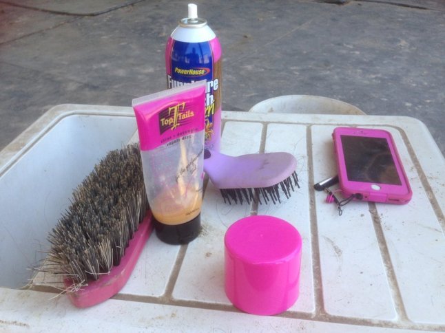 IMG_2209 (FILEminimizer)