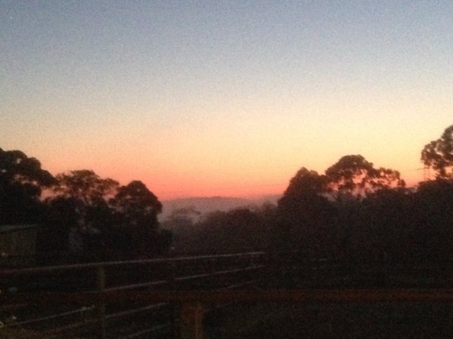 IMG_2219 (FILEminimizer)