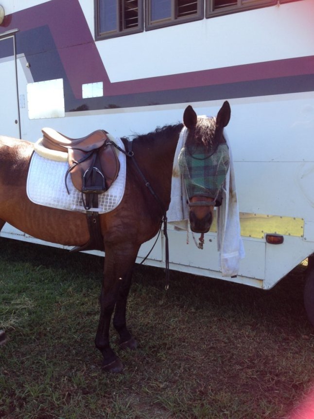 IMG_2225 (FILEminimizer)