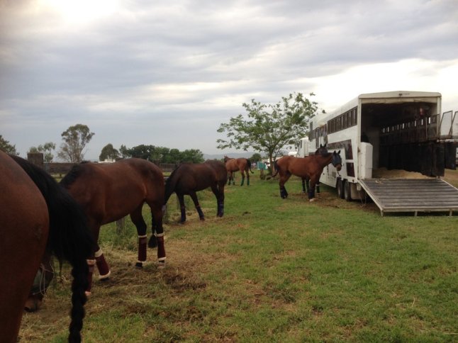 IMG_2235 (FILEminimizer)