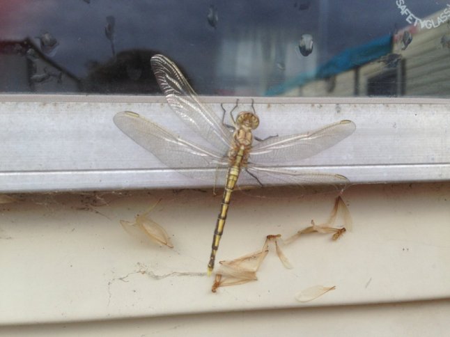 IMG_2277 (FILEminimizer)