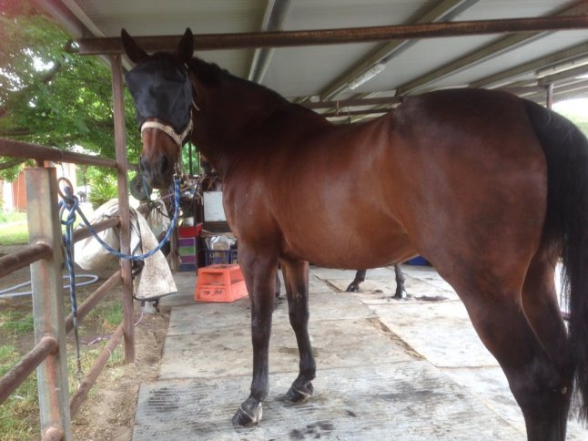 IMG_2278 (FILEminimizer)