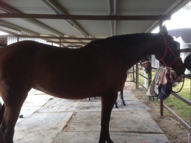 IMG_2283 (FILEminimizer)