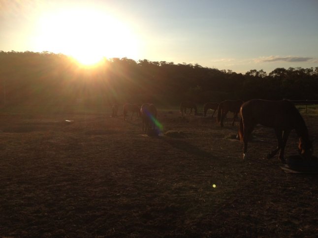 IMG_2321 (FILEminimizer)