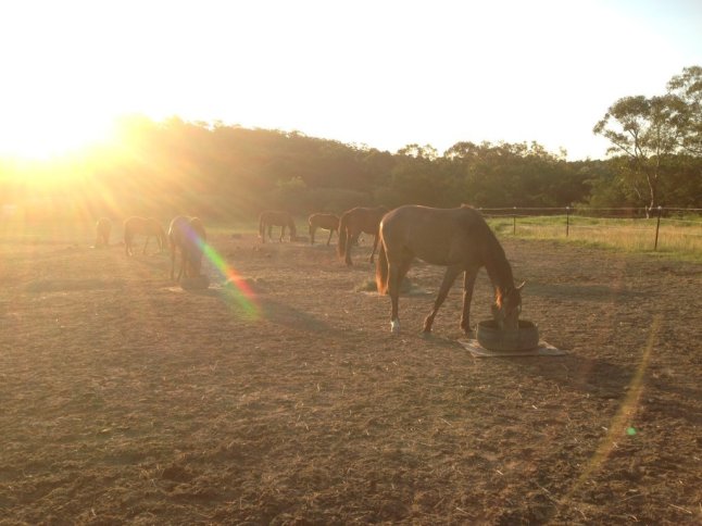 IMG_2322 (FILEminimizer)