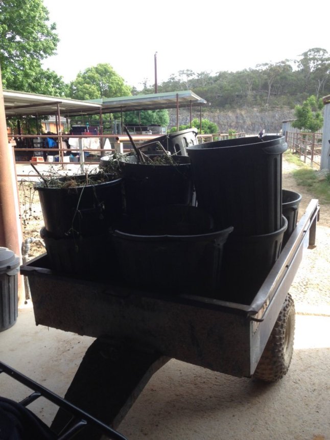 IMG_2326 (FILEminimizer)