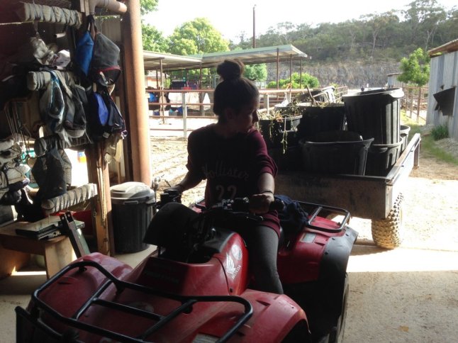 IMG_2327 (FILEminimizer)