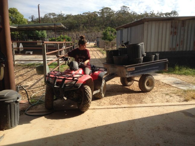 IMG_2329 (FILEminimizer)