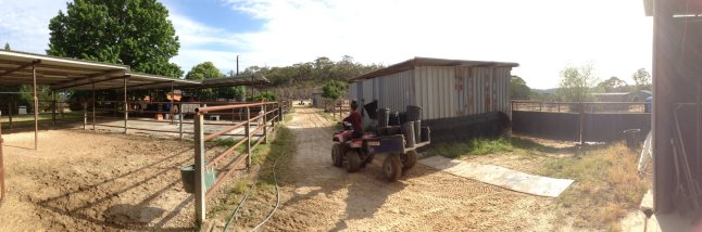 IMG_2332 (FILEminimizer)