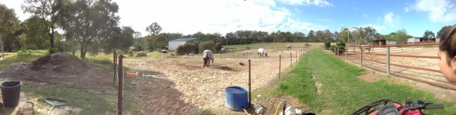 IMG_2333 (FILEminimizer)