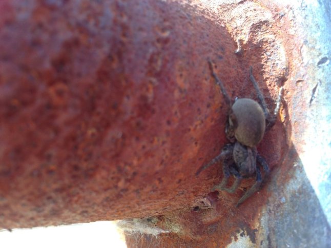 IMG_2362 (FILEminimizer)