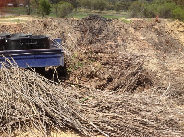 IMG_2363 (FILEminimizer)