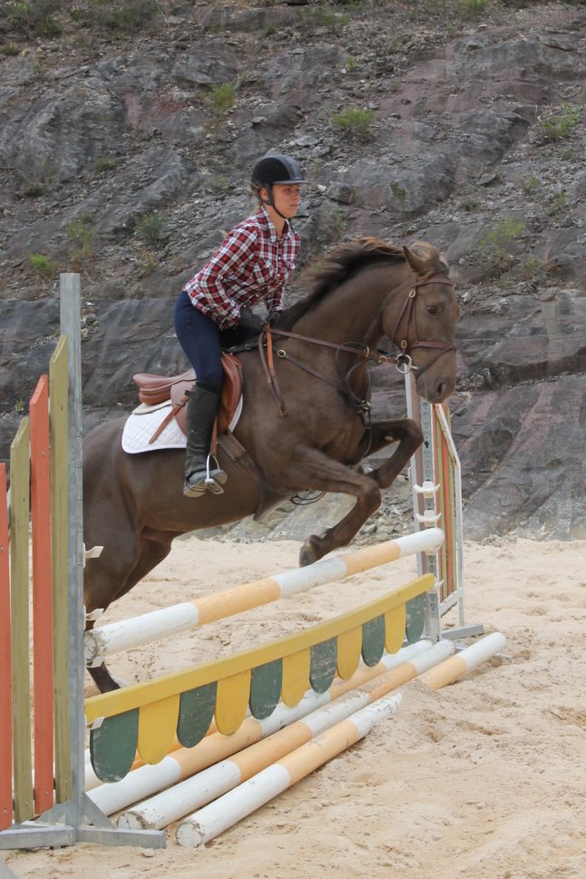 IMG_9983 (FILEminimizer)