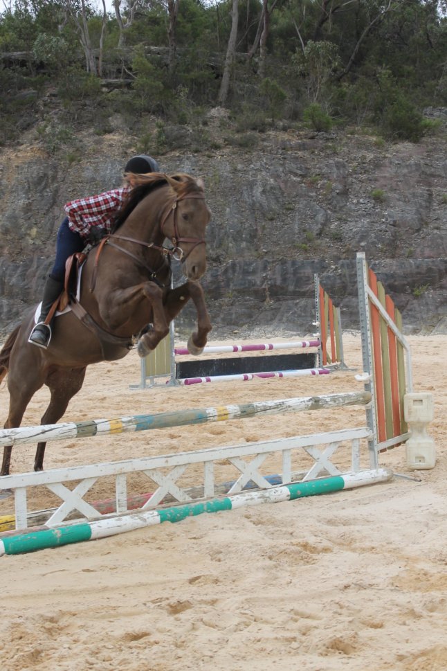 IMG_9996 (FILEminimizer)