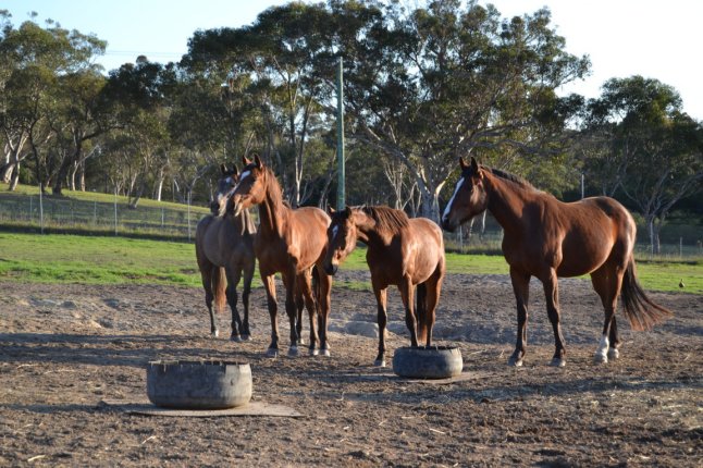 DSC_0020 (FILEminimizer)