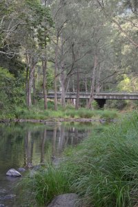 DSC_0064 (FILEminimizer)