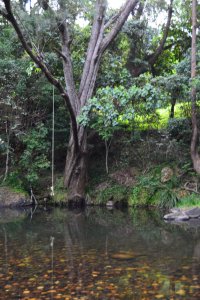 DSC_0076 (FILEminimizer)