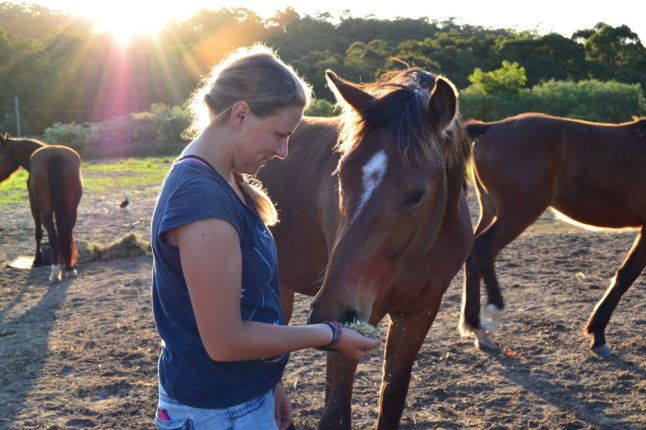 DSC_0083 (FILEminimizer)