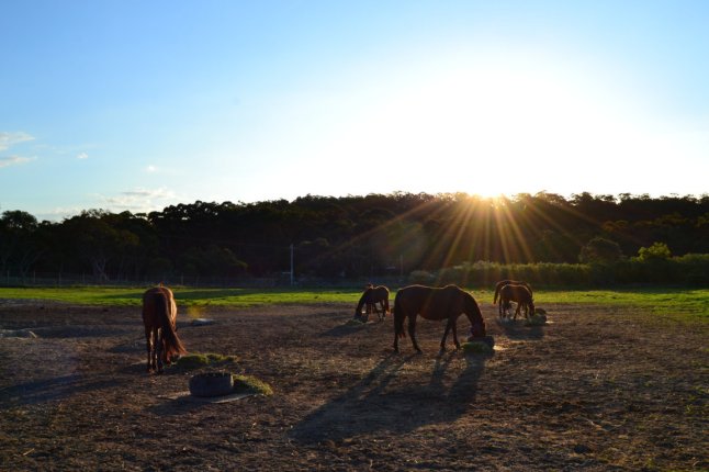 DSC_0087 (FILEminimizer)