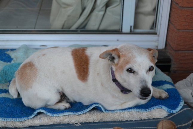 DSC_0137 (FILEminimizer)