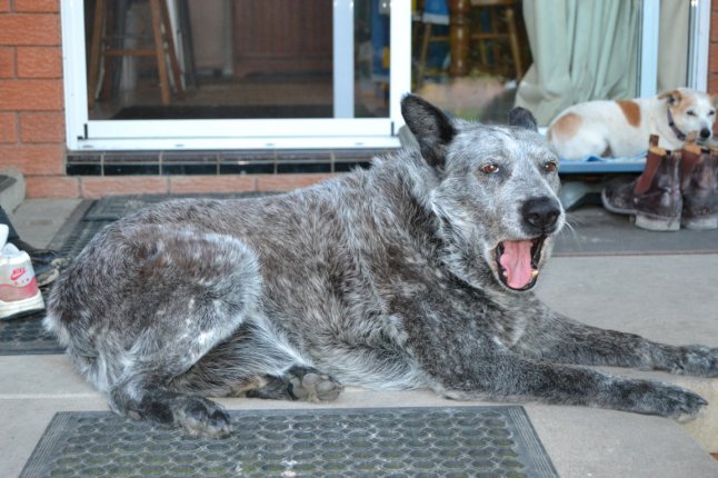 DSC_0138 (FILEminimizer)