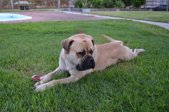 DSC_0163 (FILEminimizer)