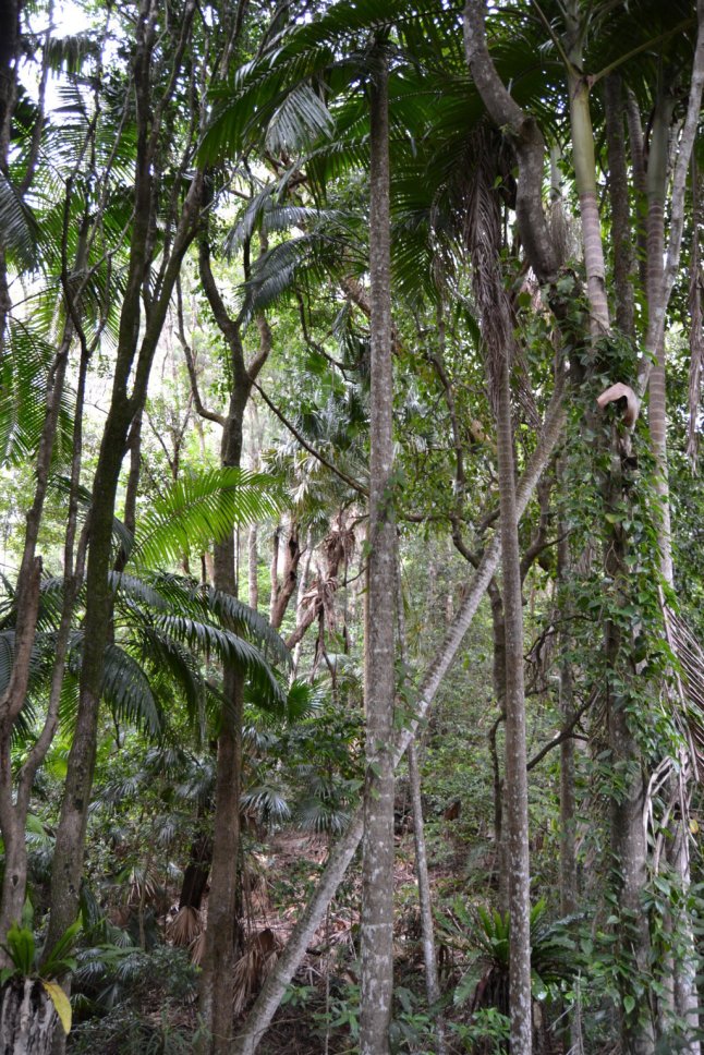 DSC_0195 (FILEminimizer)