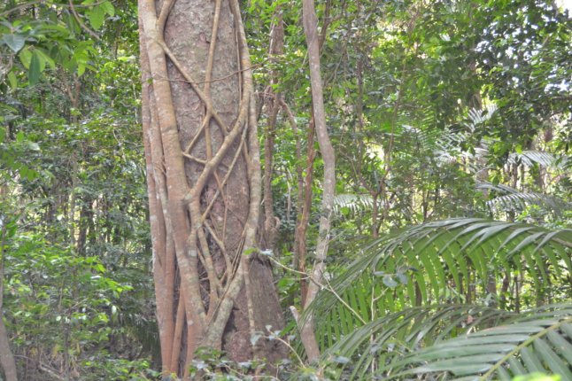 DSC_0200 (FILEminimizer)